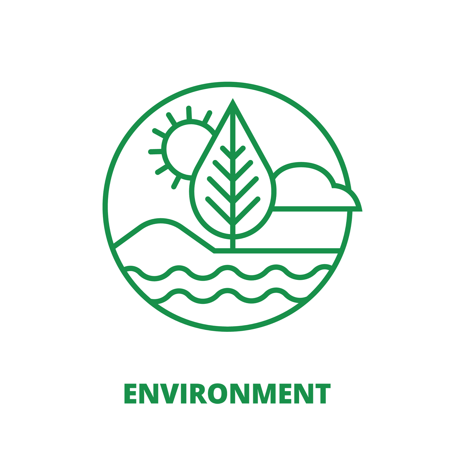 Environment