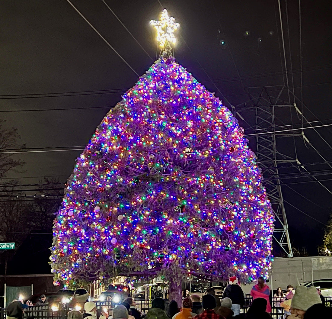 Spreading Good Cheer and Honoring History at the 40th Annual Rocky Point Christmas Tree Lighting Ceremony